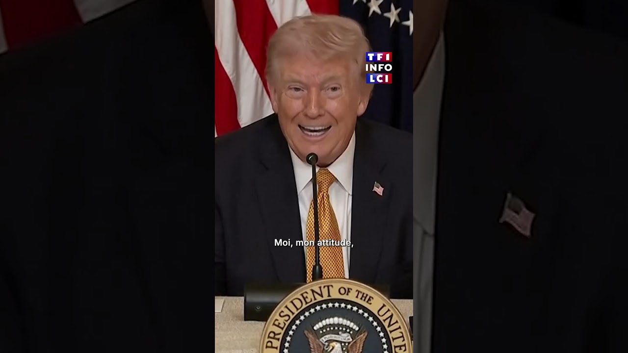 Détroit d'Ormuz : "Je pense que Macron va aider", assure Donald Trump à TF1/LCI｜TF1 INFO