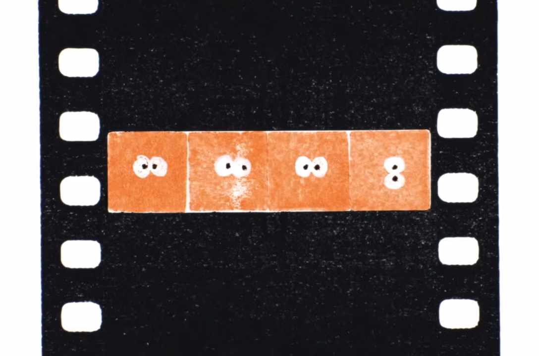 Raid Dingue streaming : où voir le film en ligne ?